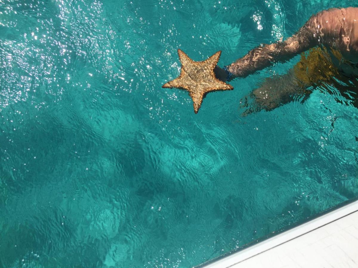 Zannanna F1 De Charme Tout Equipe Le Moule Avec Piscine Εξωτερικό φωτογραφία